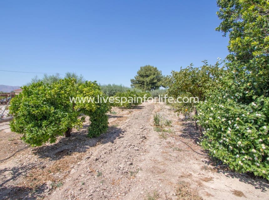 Finca/Casa Rural de 4 habitaciones en Albatera en venta con piscina garaje - 349.999 € (Ref: 10100498)