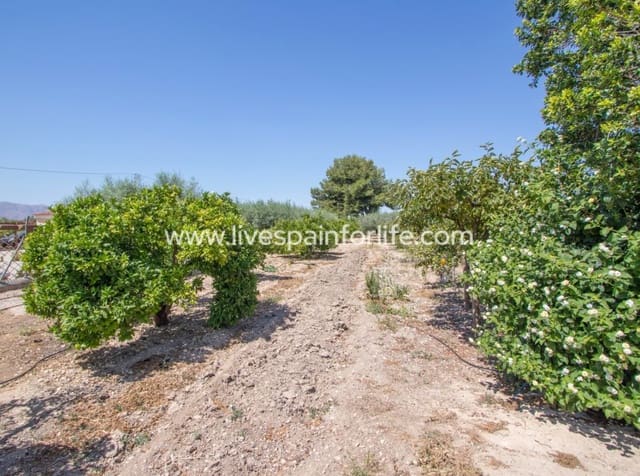 Finca/Casa Rural de 4 habitaciones en Albatera en venta con piscina garaje - 349.999 € (Ref: 10100498)