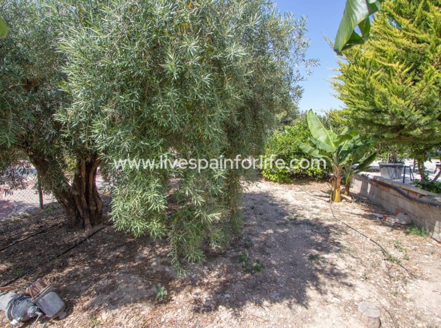 Finca/Casa Rural de 4 habitaciones en Albatera en venta con piscina garaje - 349.999 € (Ref: 10100498)