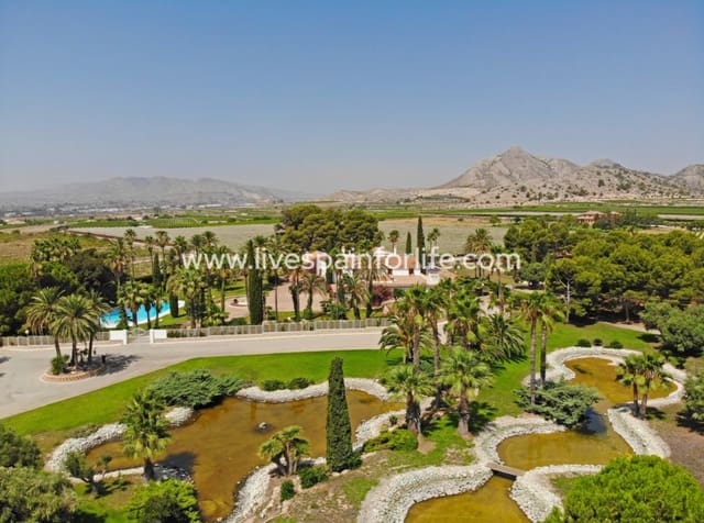 8 bedroom Business for sale in Novelda with pool garage - € 5,000,000 (Ref: 10117474)