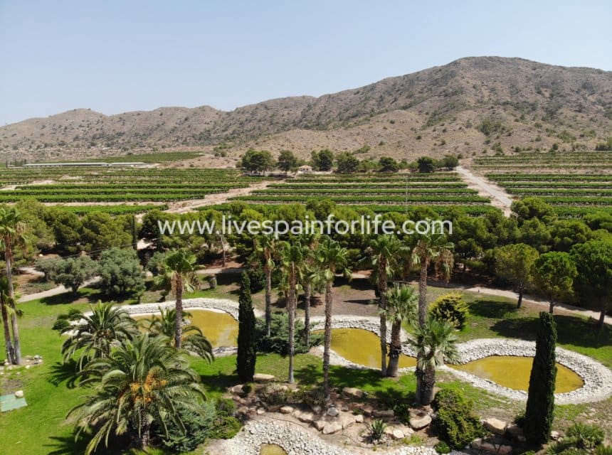 8 bedroom Business for sale in Novelda with pool garage - € 5,000,000 (Ref: 10117474)