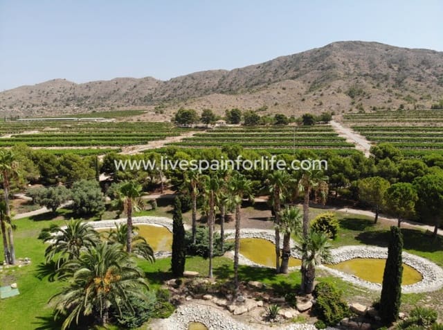 8 bedroom Business for sale in Novelda with pool garage - € 5,000,000 (Ref: 10117474)
