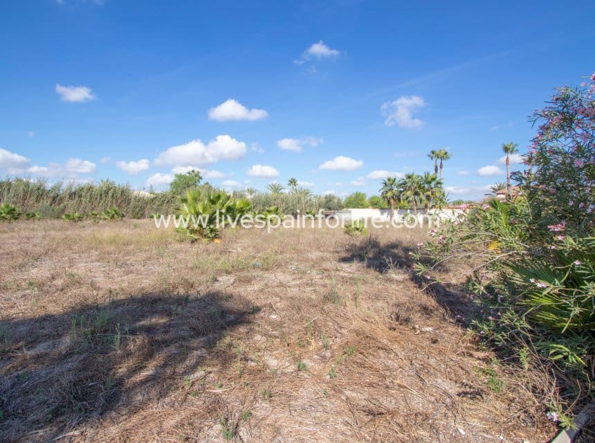 Finca/Casa Rural de 4 habitaciones en Catral en venta con piscina garaje - 440.000 € (Ref: 10120722)