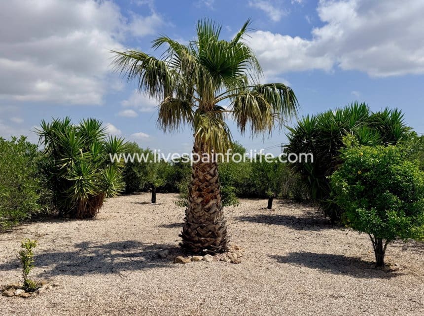 2 camera da letto Villa in vendita in Hondon de los Frailes con piscina - 275.000 € (Rif: 10140283)