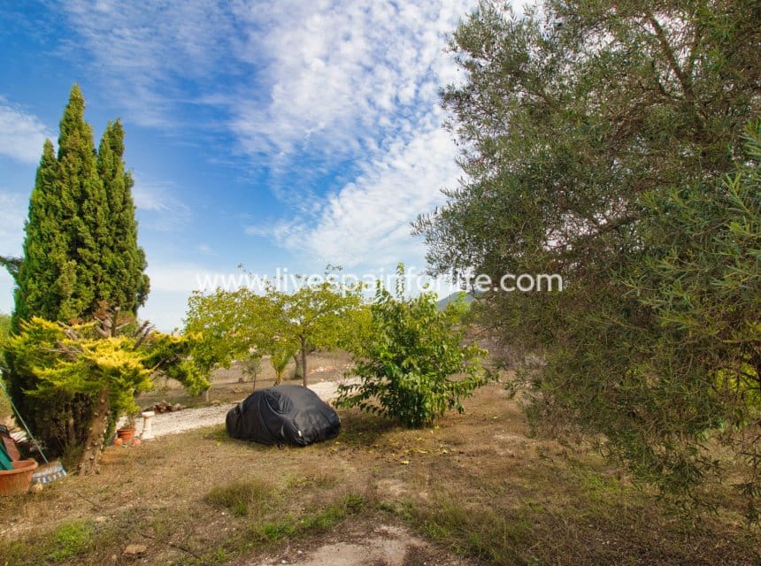 Finca/Casa Rural de 5 habitaciones en Hondón de las Nieves en venta con piscina garaje - 429.950 € (Ref: 10167053)