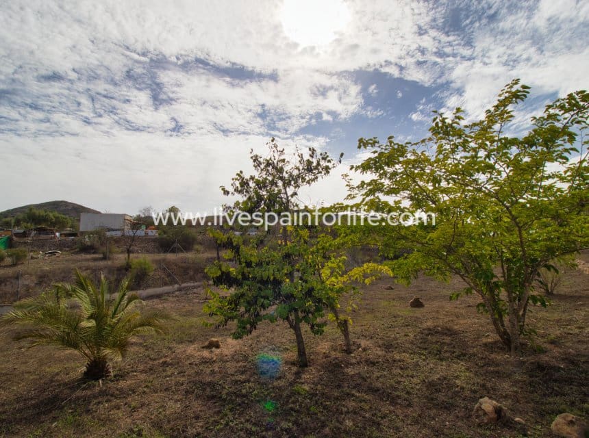 5 sypialnia Finka/Dom wiejski na sprzedaż w Hondon de las Nieves z basenem garażem - 429 950 € (Ref: 10183630)
