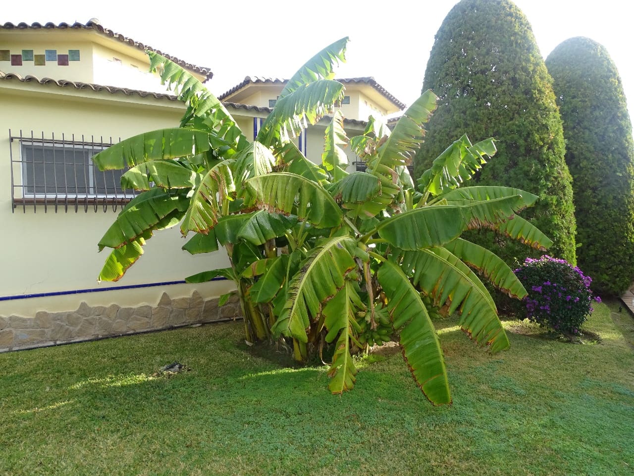 7 soveværelse Finca/Landehus til salg i Santa Pola med swimmingpool garage - € 2.100.000 (Ref: 7366884)