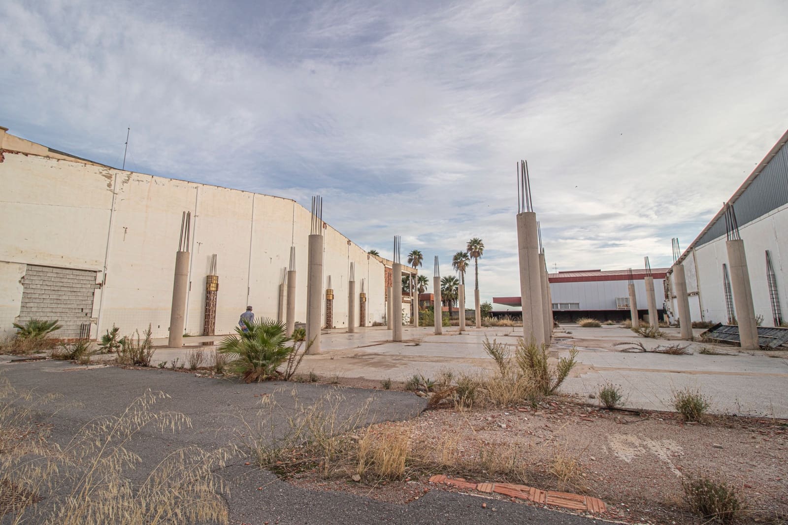 Gewerbe zu verkaufen in Elche / Elx mit Garage - 4.500.000 € (Ref: 7399723)