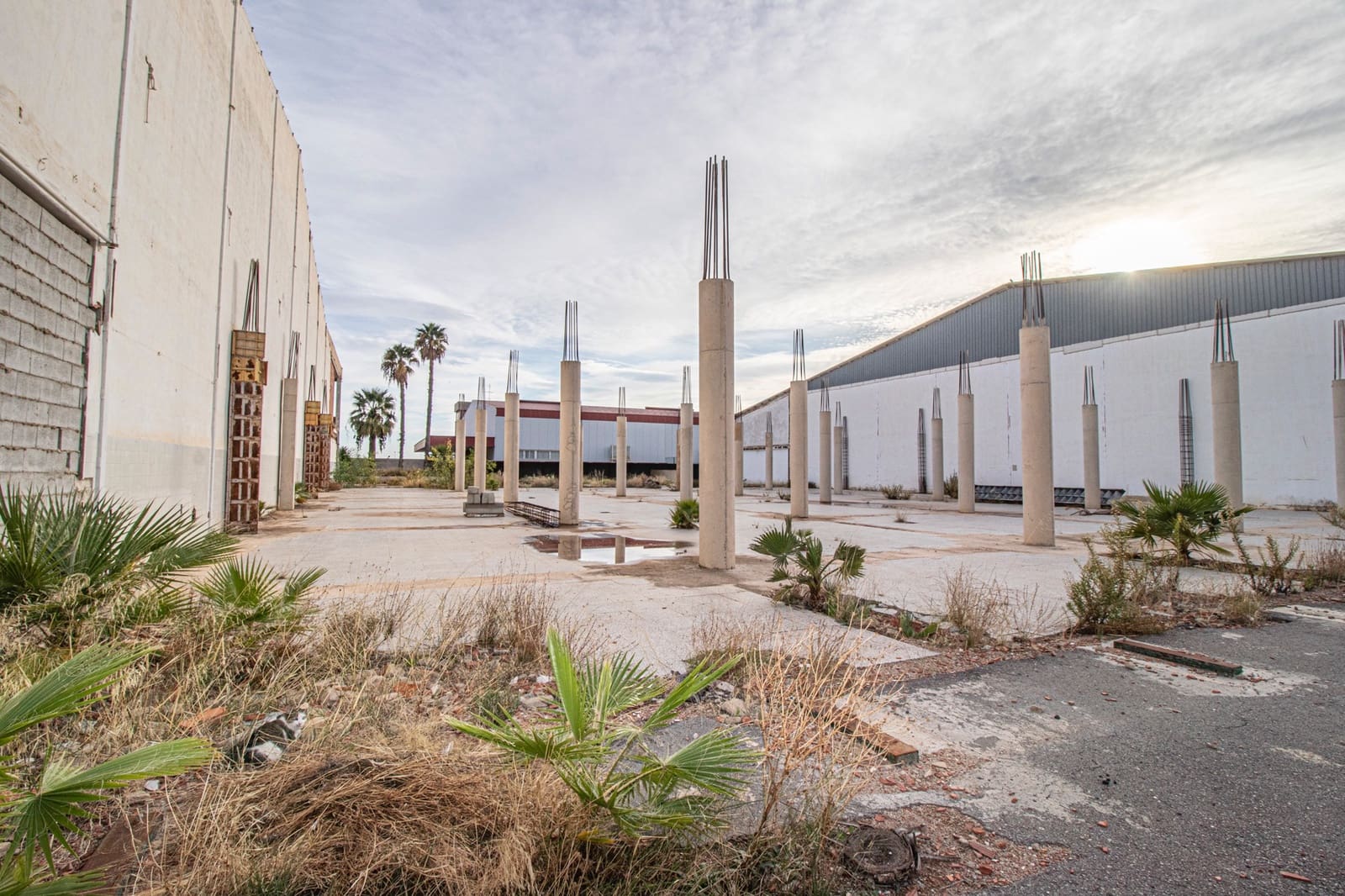 Gewerbe zu verkaufen in Elche / Elx mit Garage - 4.500.000 € (Ref: 7399723)