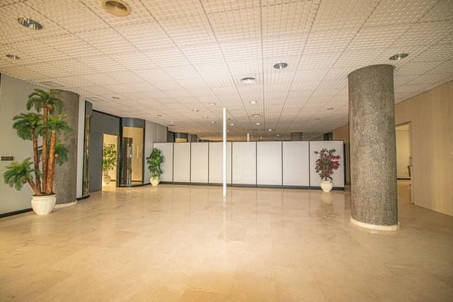 Commercial for sale in La Algoda - Matola - El Pla, Elche / Elx - € 3,200,000 (Ref: 7399724)