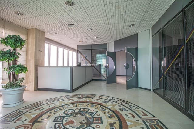 Commercial for sale in La Algoda - Matola - El Pla, Elche / Elx - € 3,200,000 (Ref: 7399724)