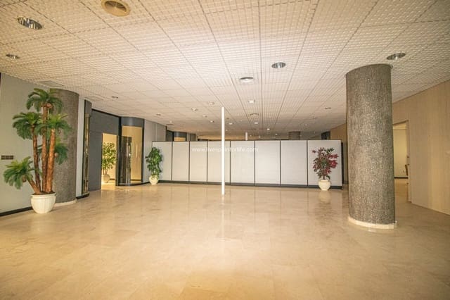 Commercial for sale in La Algoda - Matola - El Pla, Elche / Elx - € 3,200,000 (Ref: 7399724)