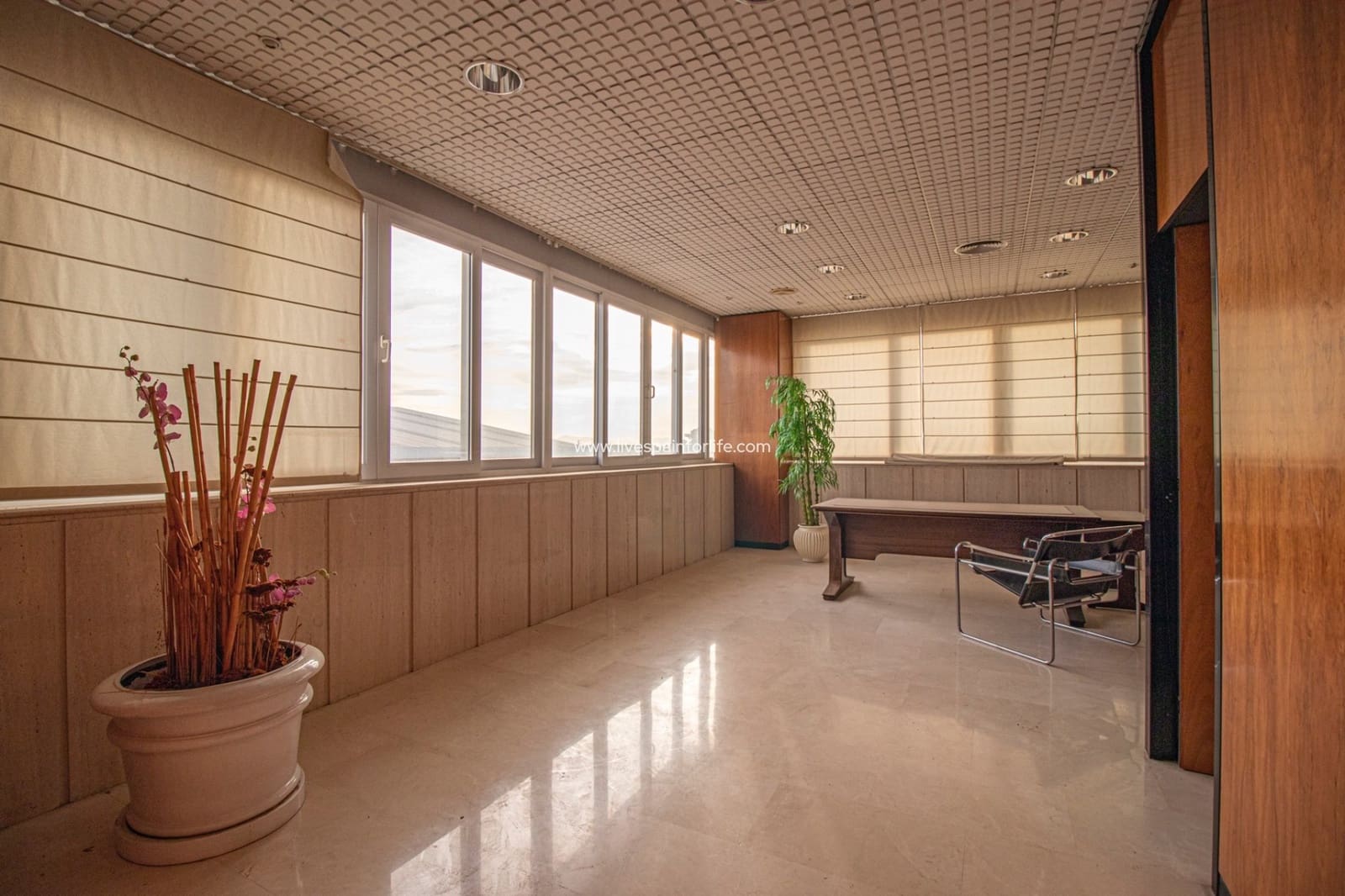 Erhverv til salg i Elche / Elx - € 3.200.000 (Ref: 7399724)