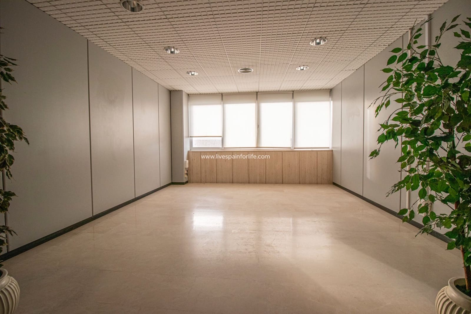 Erhverv til salg i Elche / Elx - € 3.200.000 (Ref: 7399724)