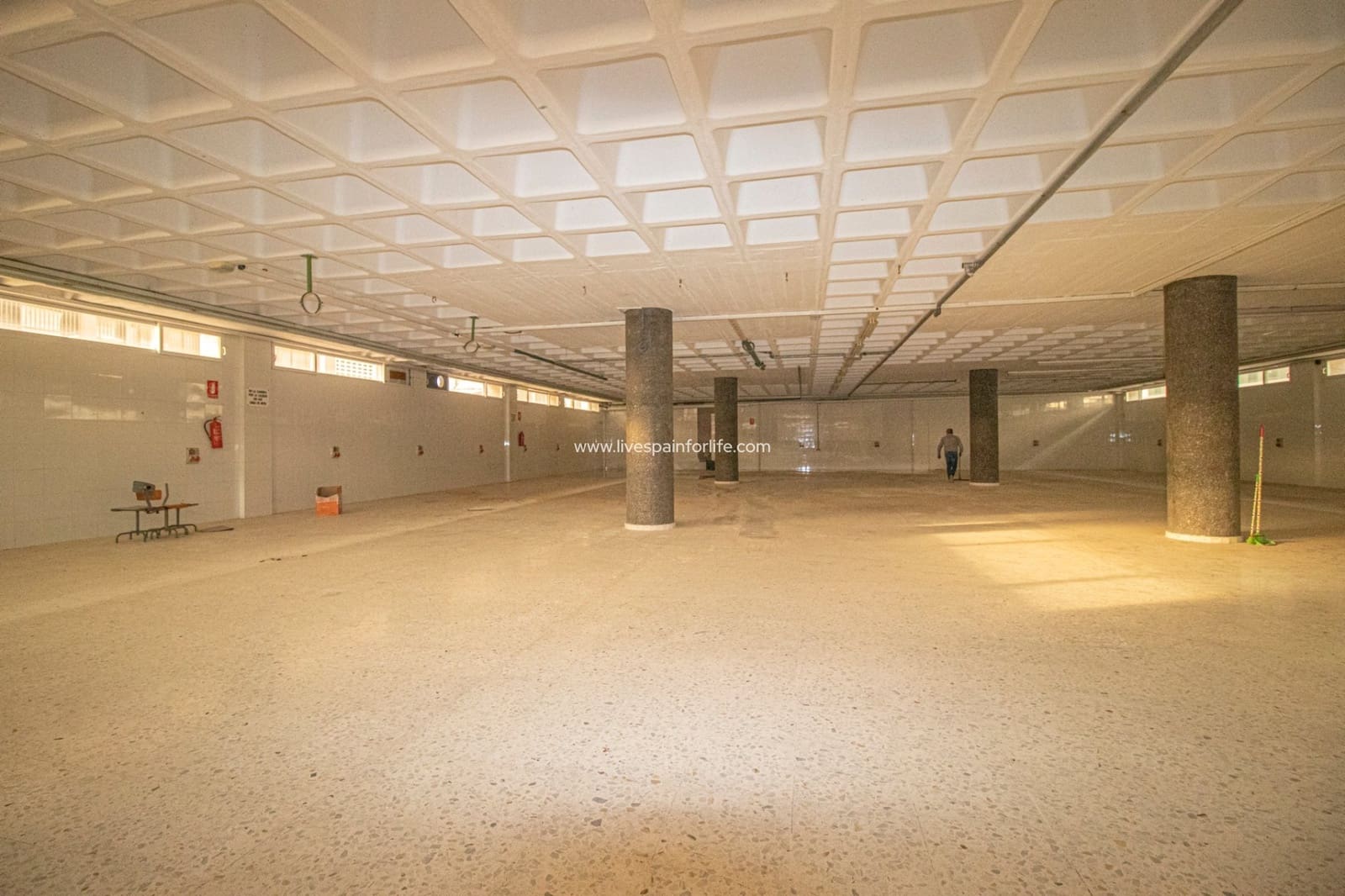 Erhverv til salg i Elche / Elx - € 3.200.000 (Ref: 7399724)