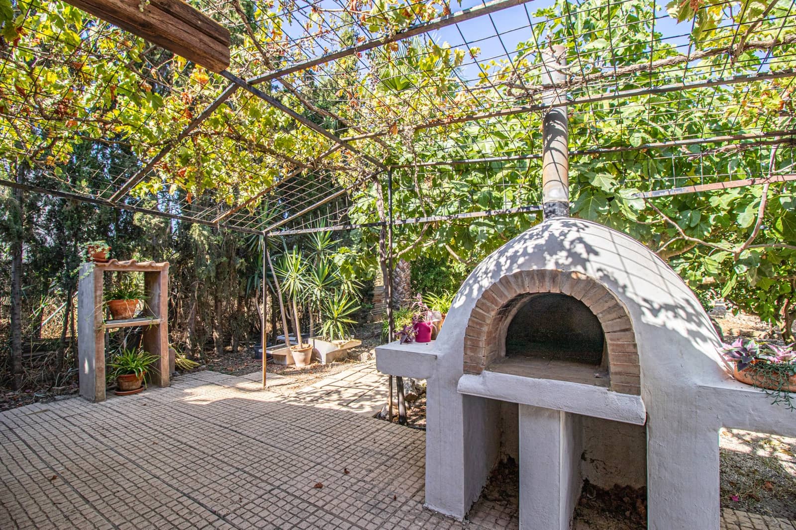 7 makuuhuone Maalaistalo myytävänä paikassa Catral mukana uima-altaan 
autotalli - 975 000 € (Ref: 7600965)