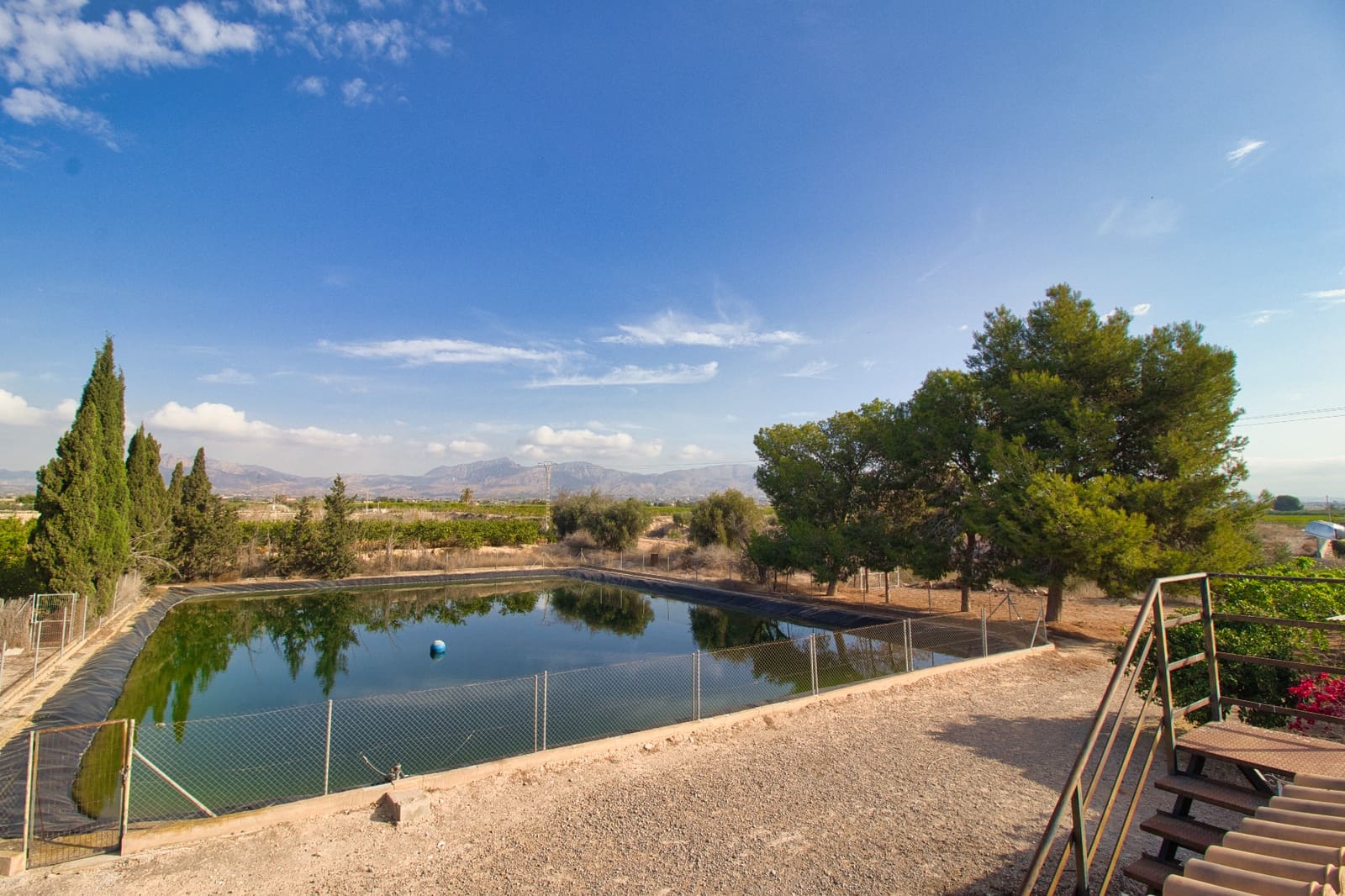 Finca/Hus på landet till salu i Albatera - 224 000 € (Ref: 8244442)