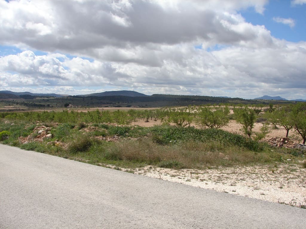 Byggetomt til salgs i Pinoso - € 40 000 (Ref: 8426762)