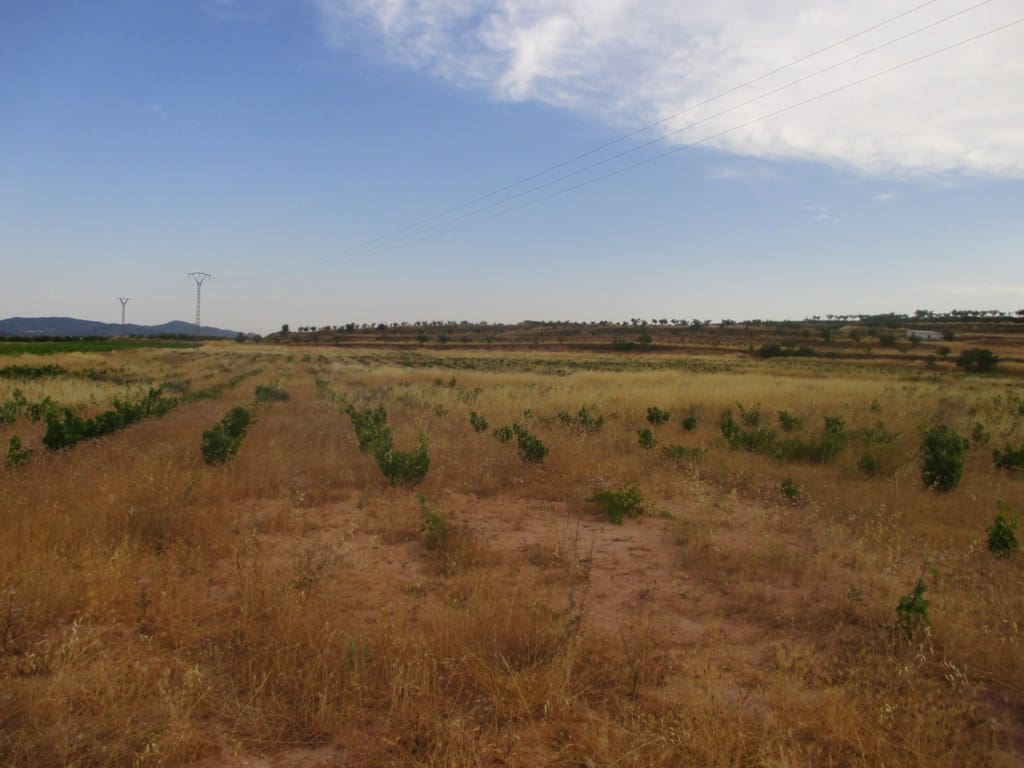 Byggetomt til salgs i Pinoso - € 40 000 (Ref: 8426762)