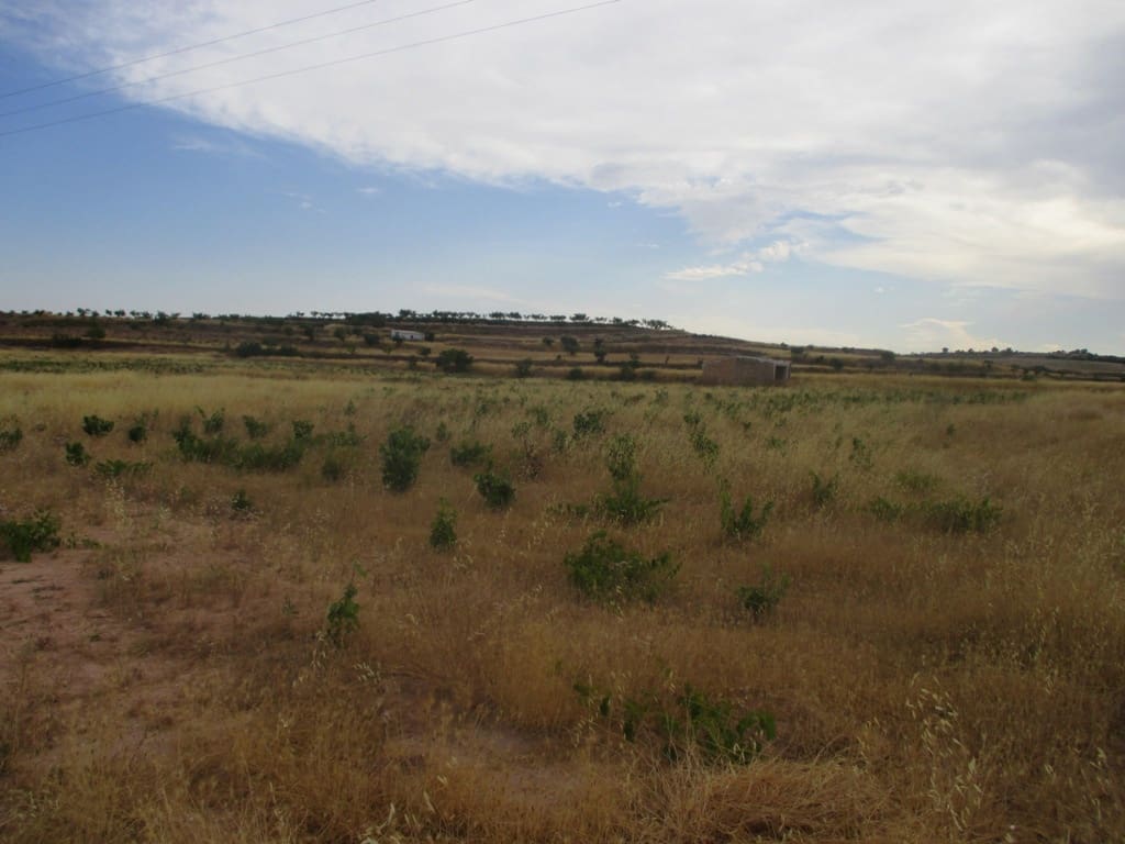 Byggetomt til salgs i Pinoso - € 40 000 (Ref: 8426762)