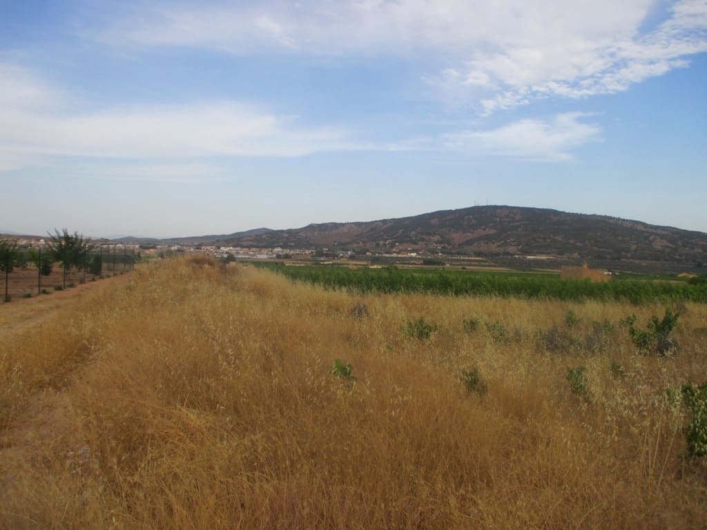 Byggetomt til salgs i Pinoso - € 40 000 (Ref: 8426762)