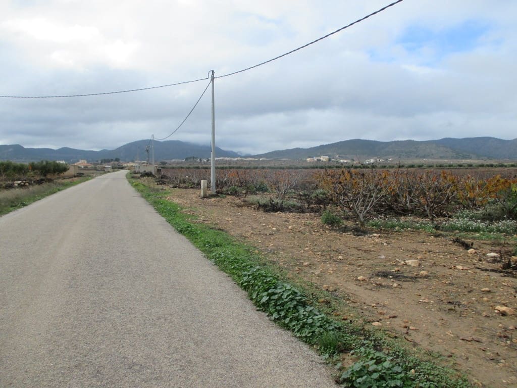 Byggetomt til salgs i Pinoso - € 40 000 (Ref: 8426762)