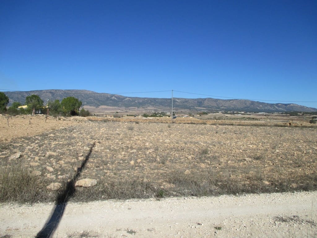 Byggetomt til salgs i Pinoso - € 40 000 (Ref: 8426762)