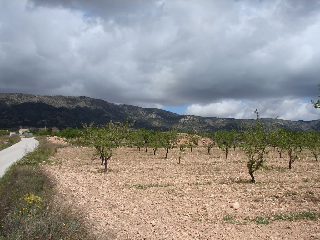 Byggetomt til salgs i Pinoso - € 40 000 (Ref: 8426762)