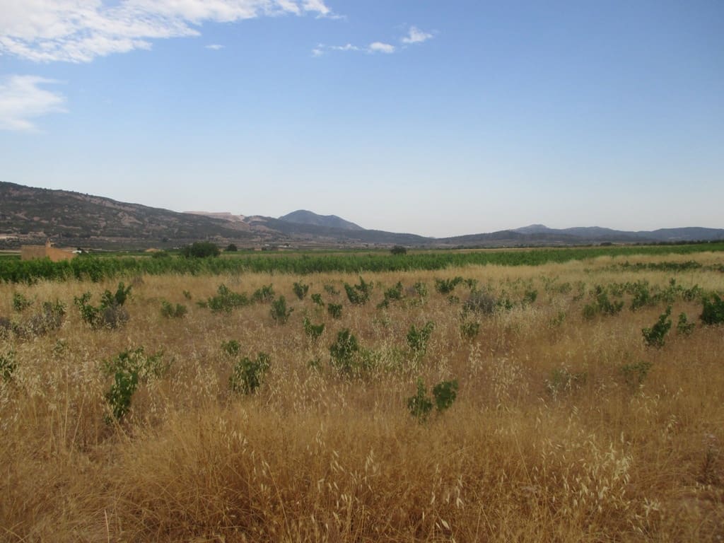 Byggetomt til salgs i Pinoso - € 40 000 (Ref: 8426762)