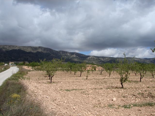 Bouwgrond te koop in Pinoso - € 40.000 (Ref: 8426762)