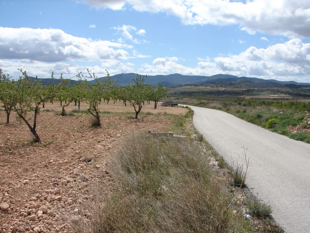 Byggetomt til salgs i Pinoso - € 40 000 (Ref: 8426762)