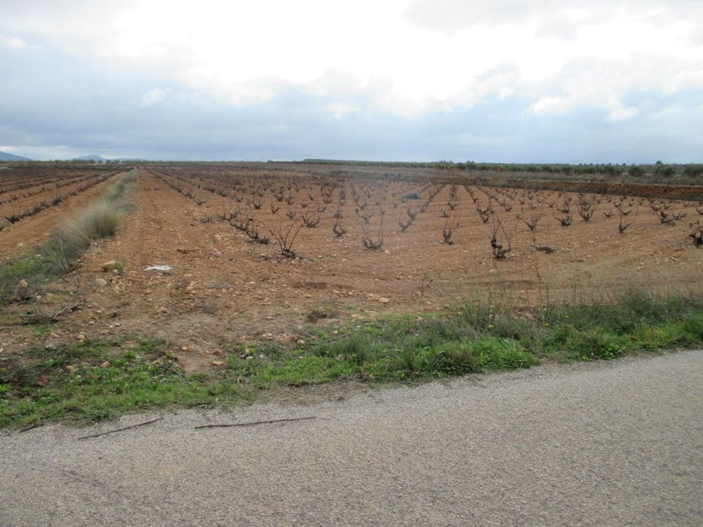 Byggetomt til salgs i Pinoso - € 40 000 (Ref: 8426762)