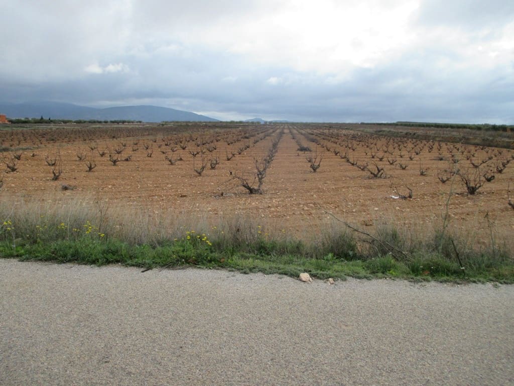 Byggetomt til salgs i Pinoso - € 40 000 (Ref: 8426762)