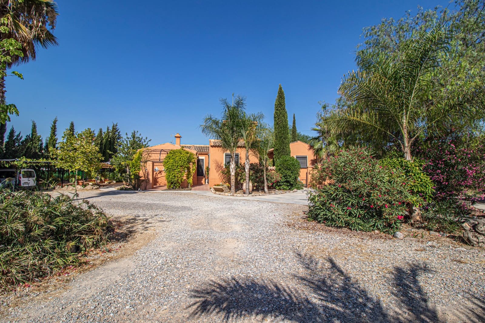 7 makuuhuone Maalaistalo myytävänä paikassa Catral mukana uima-altaan 
autotalli - 975 000 € (Ref: 8486596)