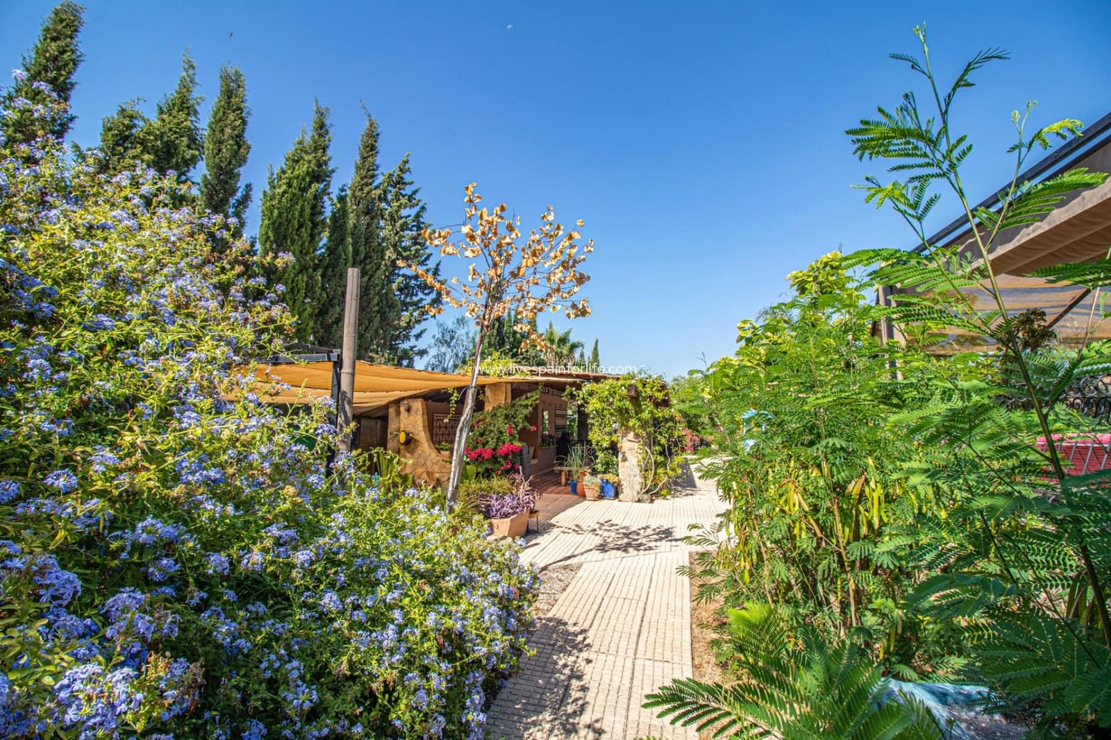 7 bedroom Finca/Country House for sale in Catral with pool garage - € 975,000 (Ref: 8486596)