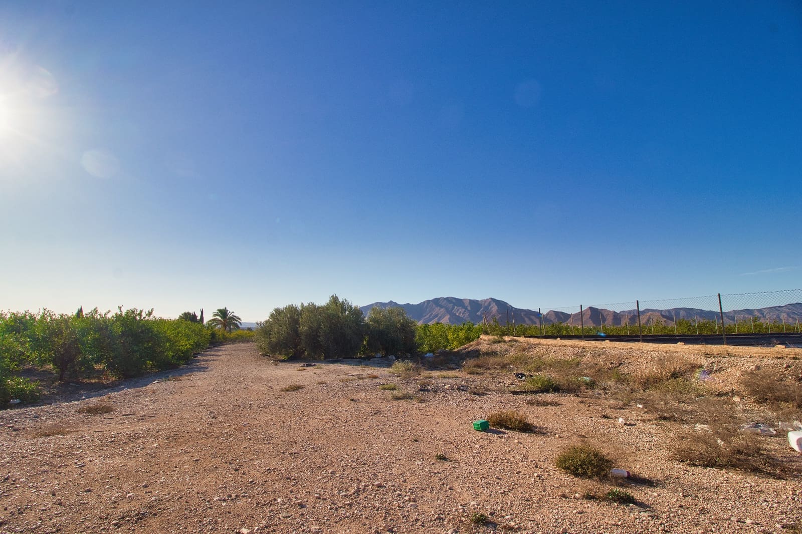 Bauplatz zu verkaufen in Albatera - 240.000 € (Ref: 8605716)