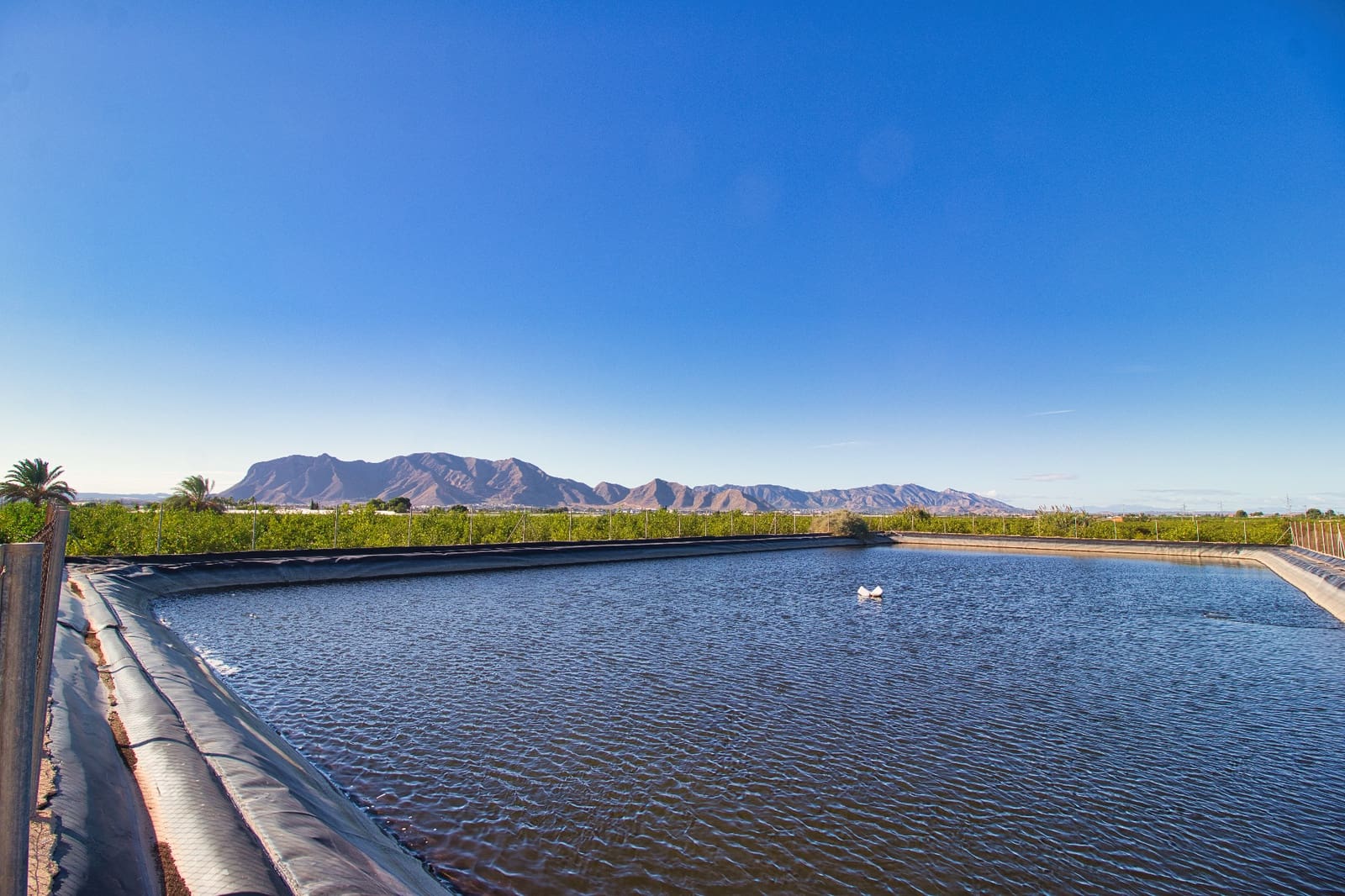 Bauplatz zu verkaufen in Albatera - 240.000 € (Ref: 8605716)