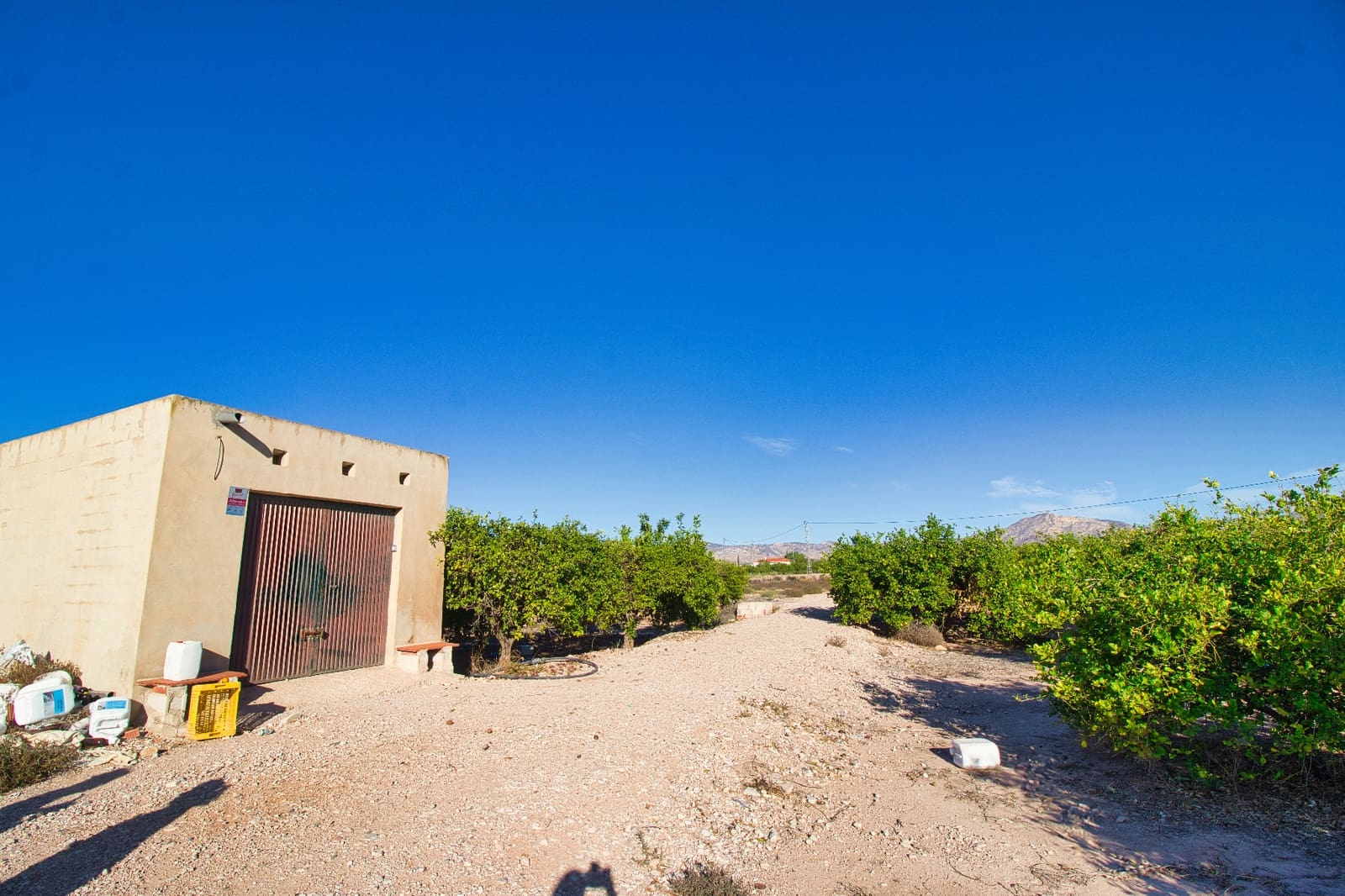 Bauplatz zu verkaufen in Albatera - 240.000 € (Ref: 8605716)