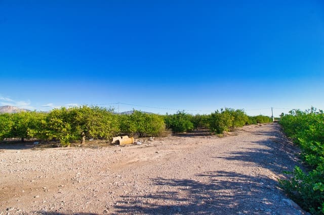 Byggegrund til salg i Albatera - € 240.000 (Ref: 8605716)