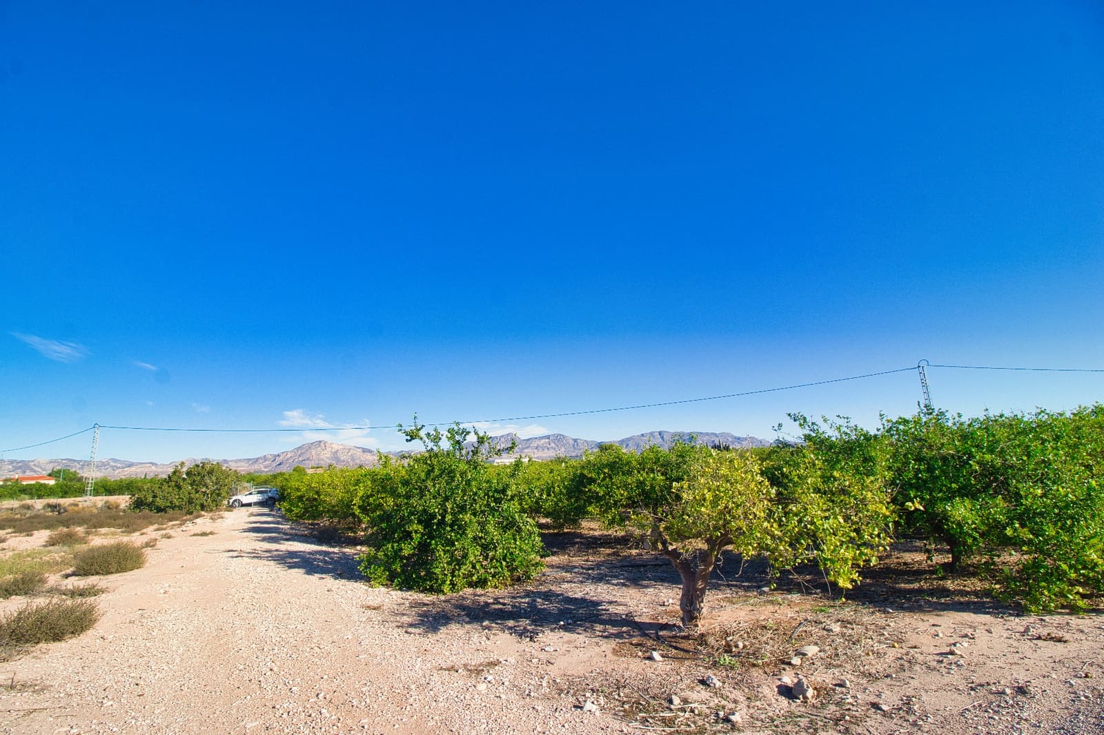 Bauplatz zu verkaufen in Albatera - 240.000 € (Ref: 8605716)