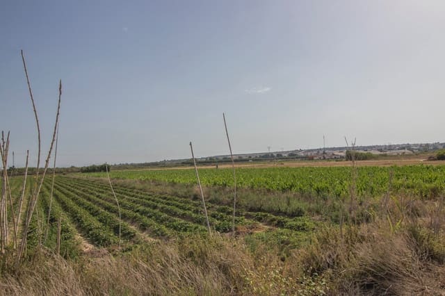 Building Plot for sale in San Fulgencio - € 65,000 (Ref: 8891461)