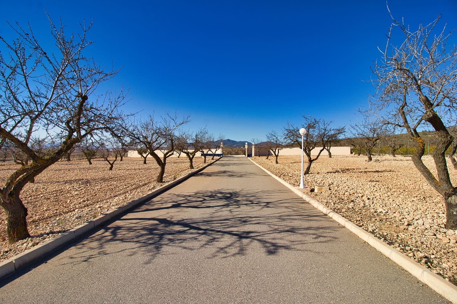 4 soveværelse Finca/Landehus til salg i Alicante by med swimmingpool garage - € 475.000 (Ref: 9119702)