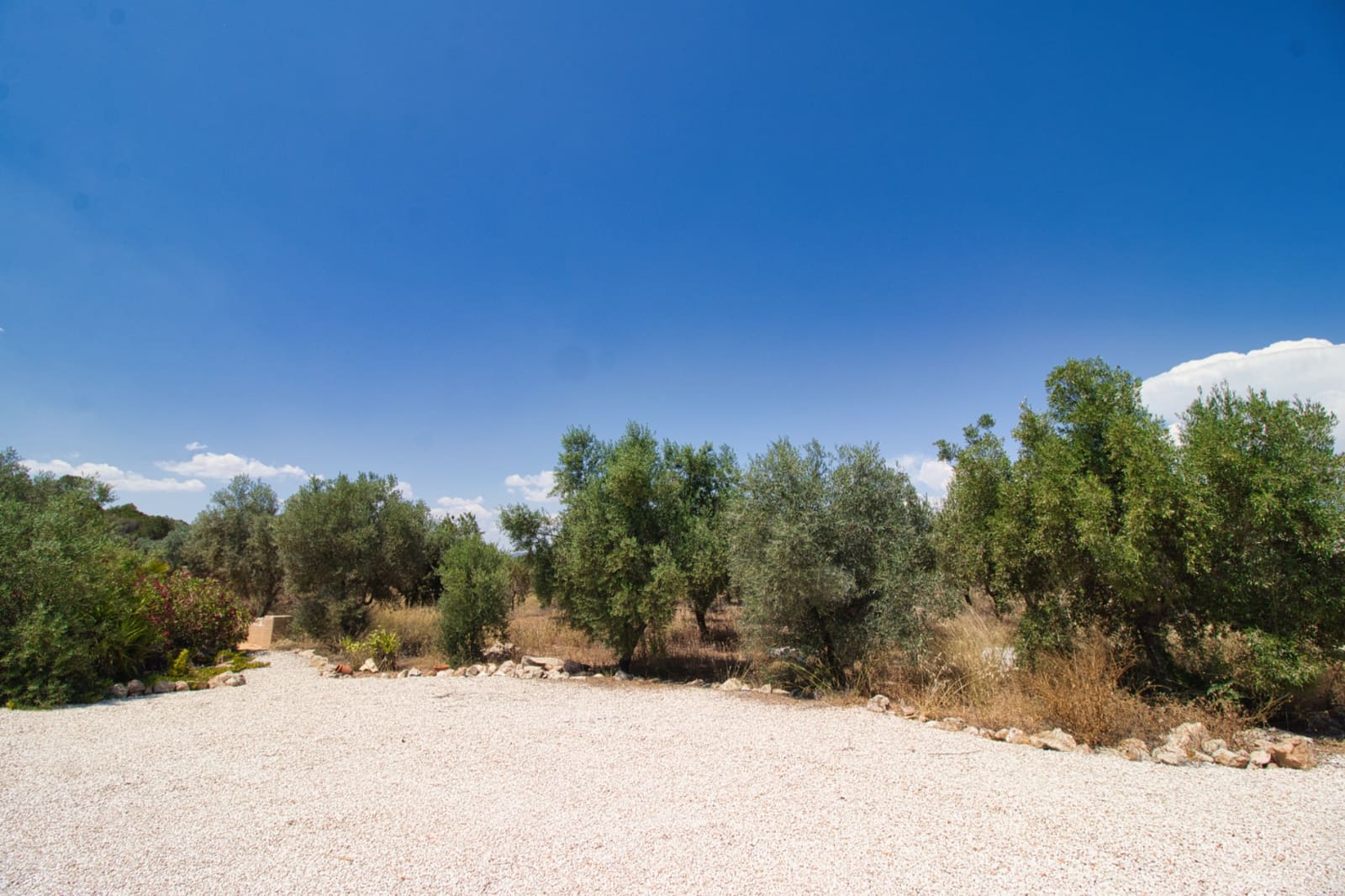 5 soveværelse Finca/Landehus til salg i Alicante by med swimmingpool - € 395.000 (Ref: 9205285)