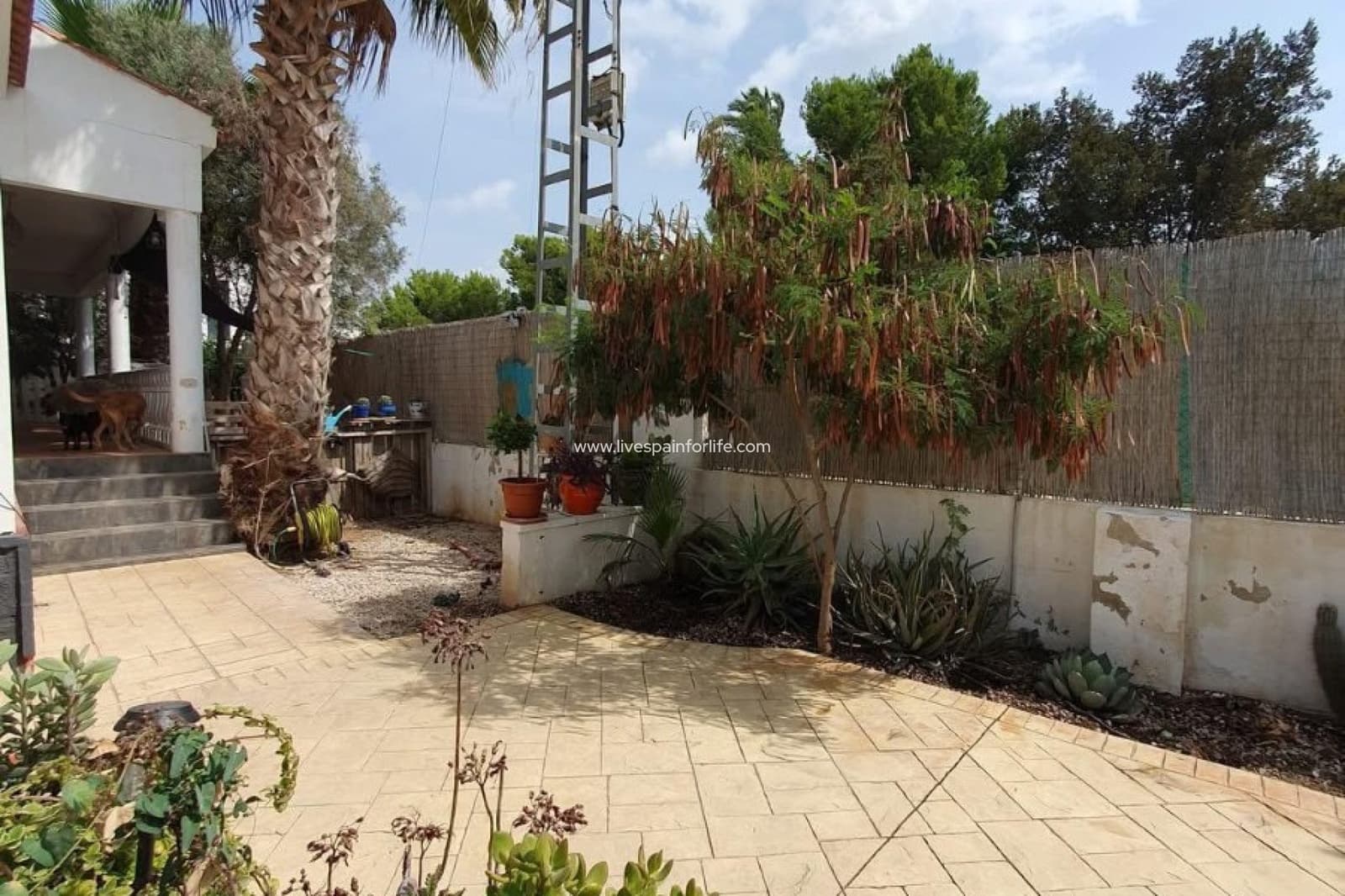 3 soverom Finca/Herregård til salgs i Alicante by med svømmebasseng - € 265 000 (Ref: 9278669)