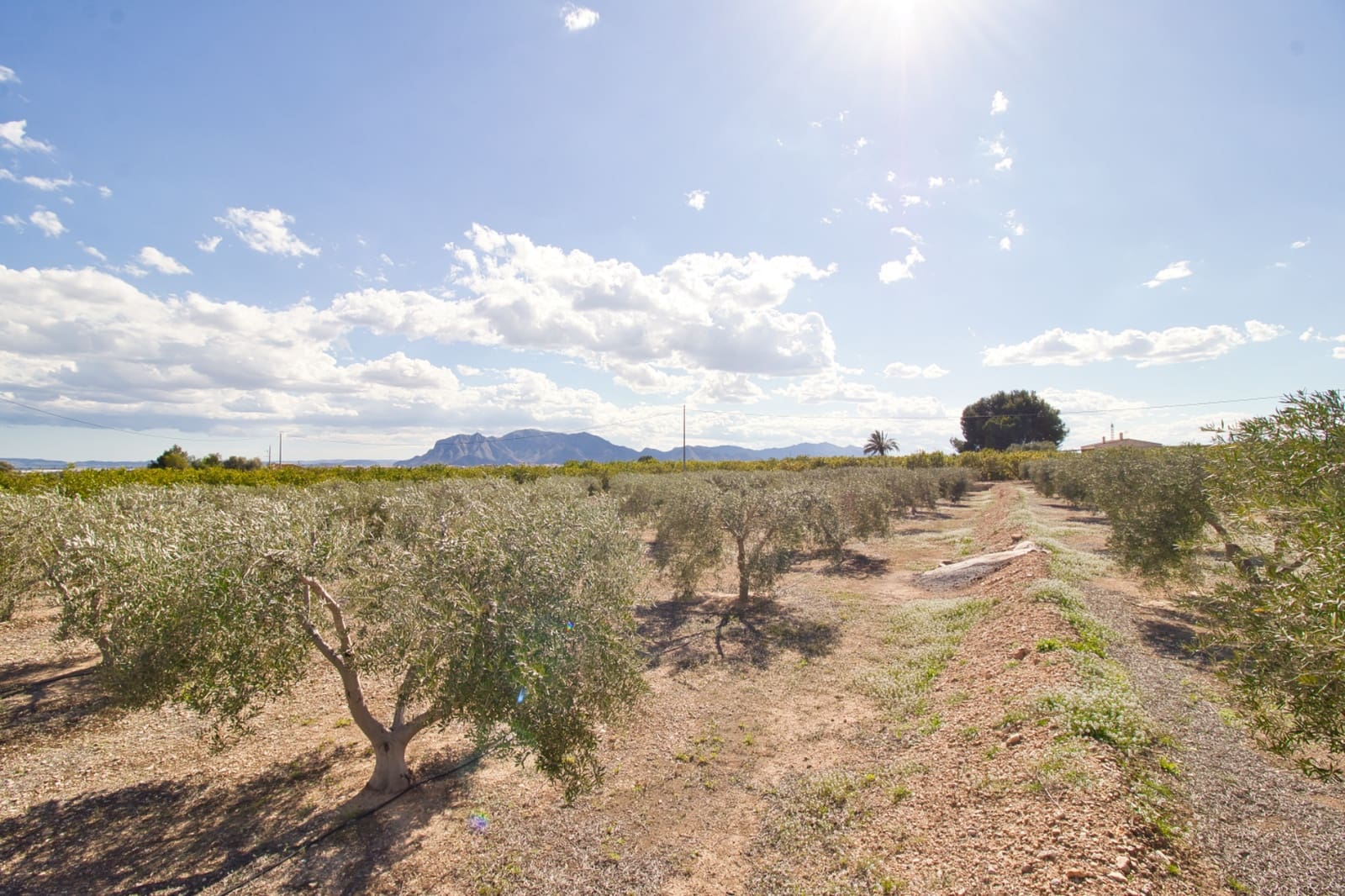 1 slaapkamer Finca/Landhuis te koop in Alicante stad met zwembad garage - € 140.000 (Ref: 9278692)