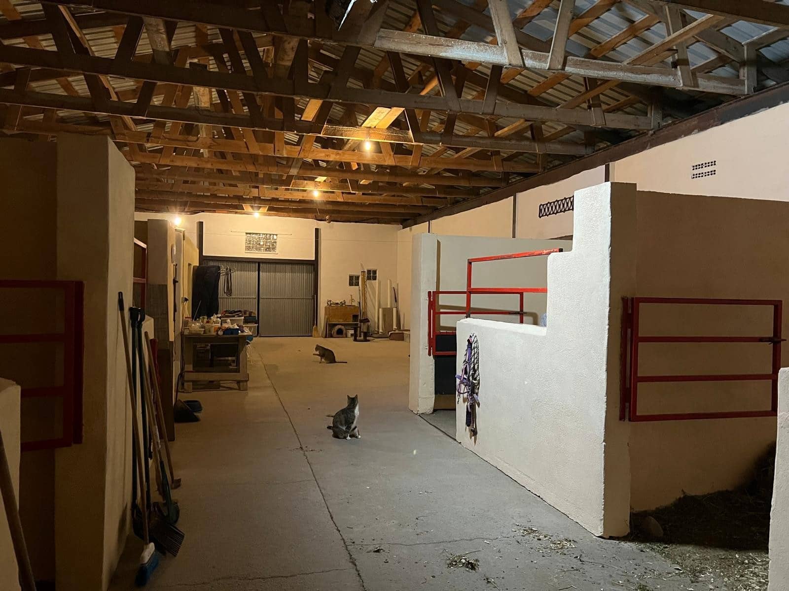 3 soverom Finca/Herregård til salgs i Torre del Rico - € 510 000 (Ref: 9293213)