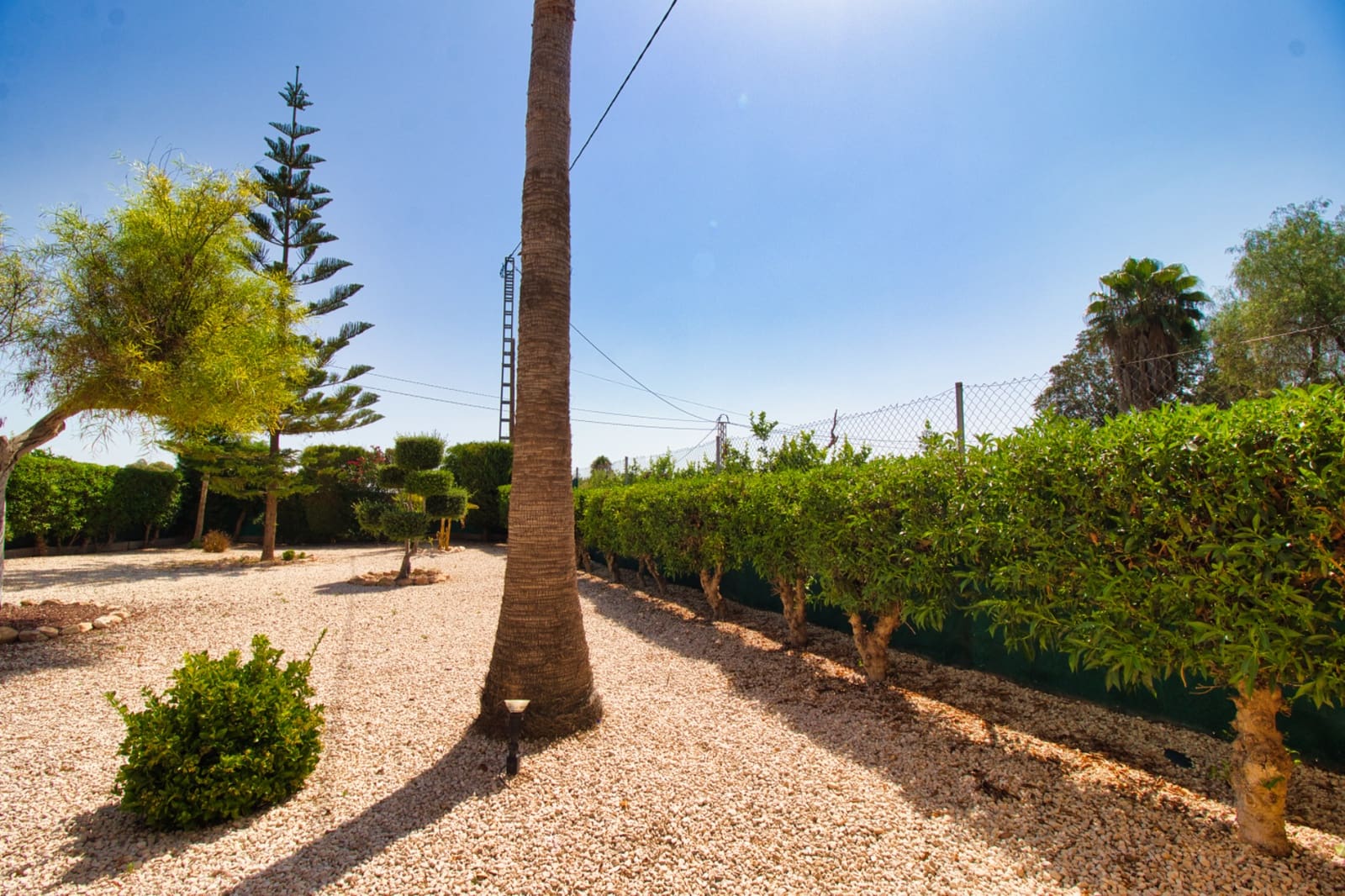 4 soverom Finca/Herregård til salgs i Alicante by med svømmebasseng garasje - € 399 500 (Ref: 9344687)