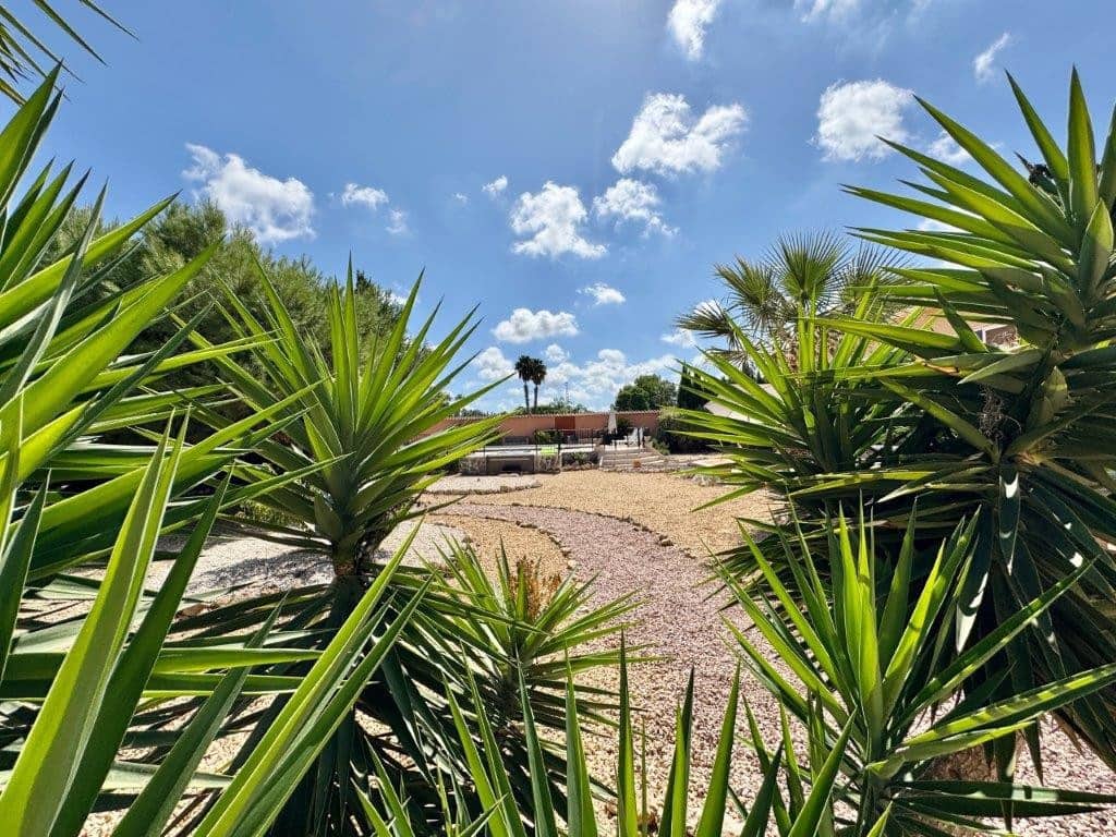 3 chambre Finca/Maison de Campagne à vendre à Dolores avec piscine garage - 490 000 € (Ref: 9363174)