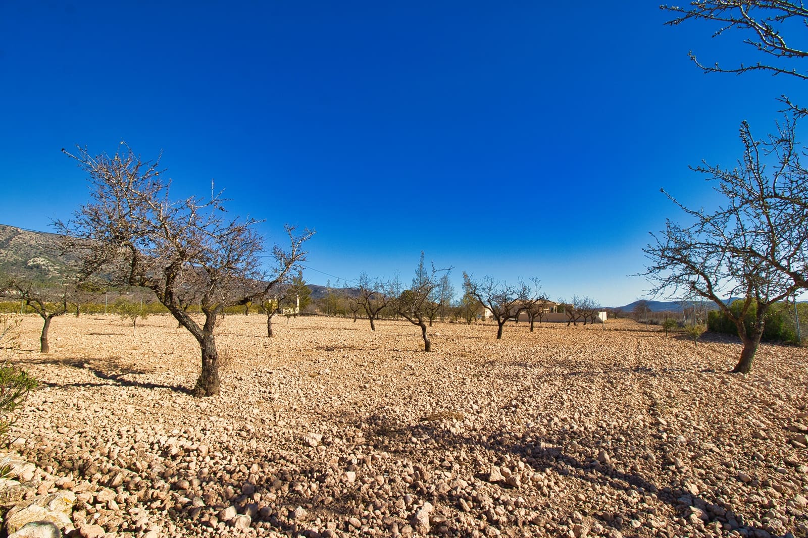 4 slaapkamer Finca/Landhuis te koop in Pinoso met zwembad garage - € 475.000 (Ref: 9369289)