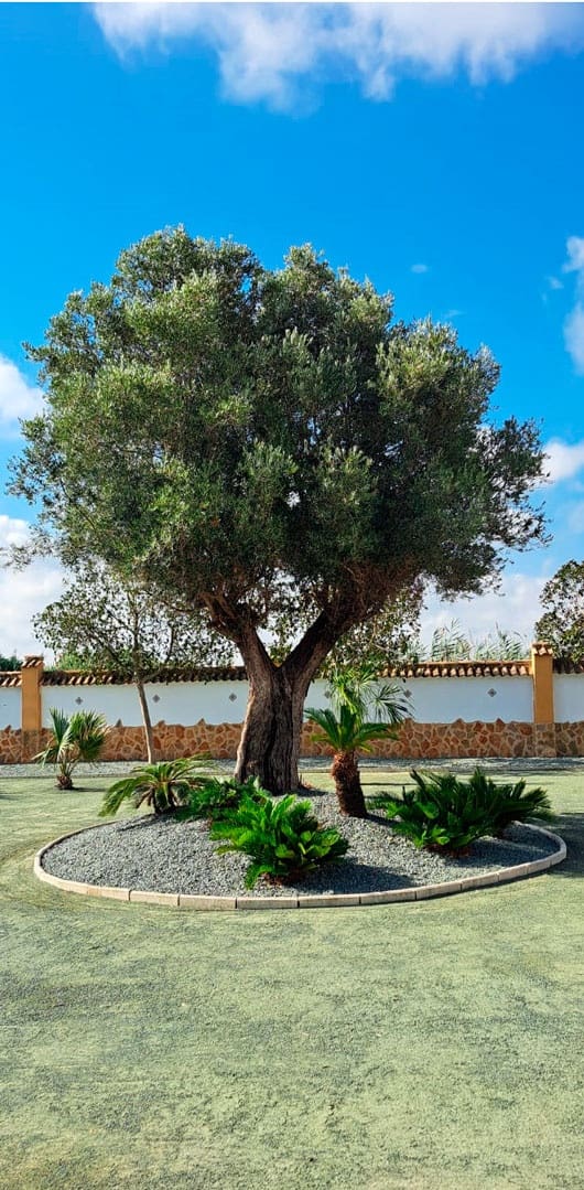 3 sovrum Finca/Hus på landet till salu i Alicante stad med garage - 385 000 € (Ref: 9383524)